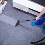 The Essential Guide to Carpet Care