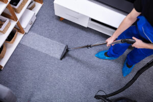 The Essential Guide to Carpet Care