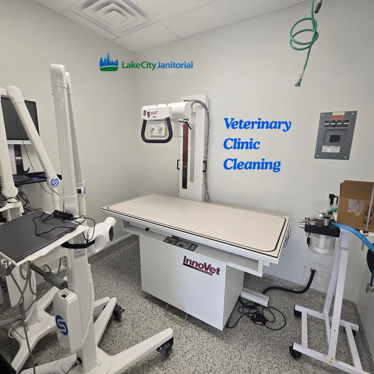 Professional janitorial team cleaning veterinary clinic lobby in Chicago to create a safe, odor-free environment
